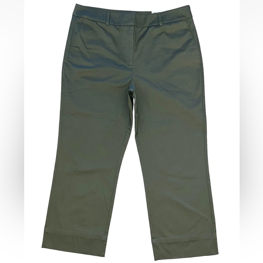 Ann Taylor NEW Green Relaxed Straight High Rise Ankle Pants Sz 16